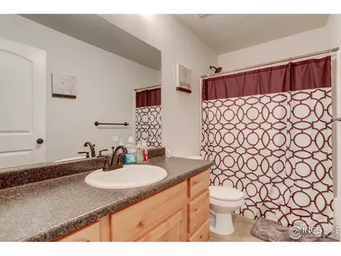 1565 Driftline Dr, Windsor, CO 80550 photo 22