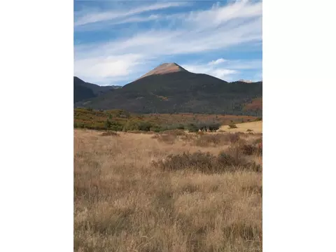 2424 Running Bear, Cotopaxi, CO 81223