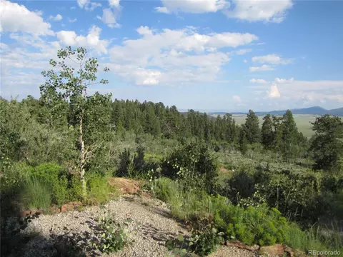 139 Lantern Loop, Hartsel, CO 80449 photo 3