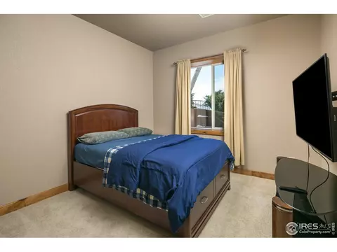 2002 Bayfront Dr, Windsor, CO 80550 photo 28