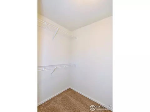 916 Greenbrook Dr, Windsor, CO 80550 photo 31