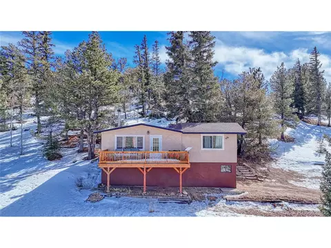 60 Perch Dr, Lake George, CO 80827