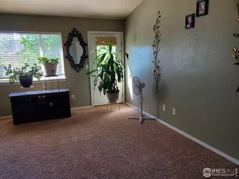 719 Bristle Cone Dr, Severance, CO 80550 photo 3