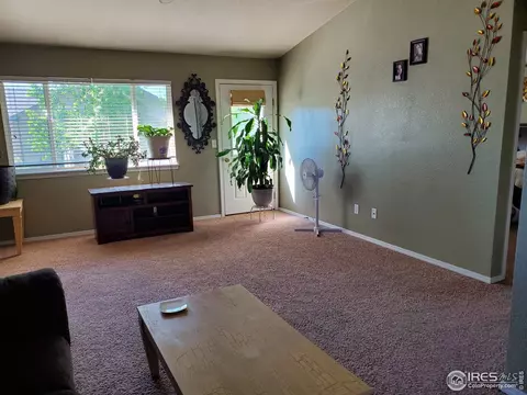 719 Bristle Cone Dr, Severance, CO 80550 photo 5