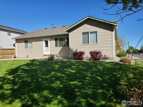 719 Bristle Cone Dr, Severance, CO 80550 photo 23