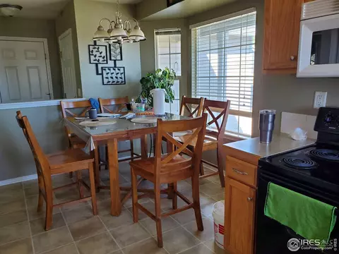 719 Bristle Cone Dr, Severance, CO 80550 photo 8