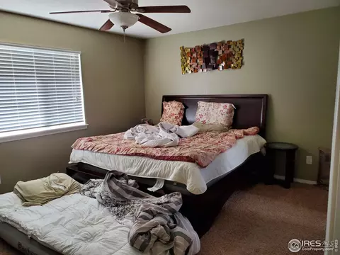 719 Bristle Cone Dr, Severance, CO 80550 photo 13
