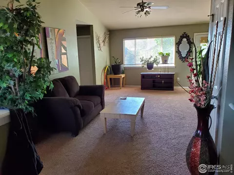 719 Bristle Cone Dr, Severance, CO 80550 photo 6