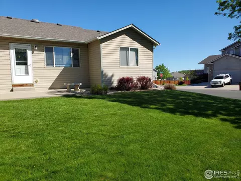719 Bristle Cone Dr, Severance, CO 80550 photo 22