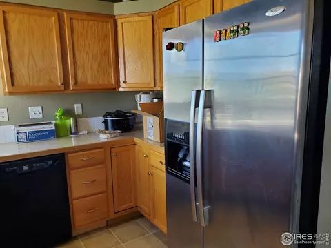 719 Bristle Cone Dr, Severance, CO 80550 photo 10