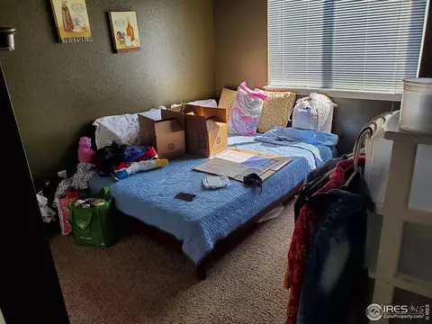 719 Bristle Cone Dr, Severance, CO 80550 photo 19