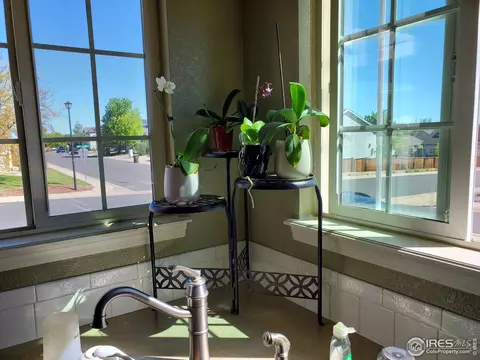 719 Bristle Cone Dr, Severance, CO 80550 photo 7