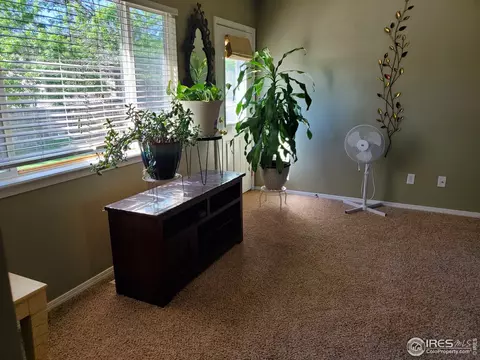 719 Bristle Cone Dr, Severance, CO 80550 photo 4