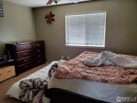 719 Bristle Cone Dr, Severance, CO 80550 photo 12