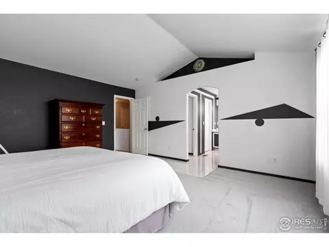 2462 E 116th Ave, Thornton, CO 80233 photo 20