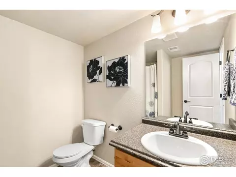 528 El Diente Ave, Windsor, CO 80550 photo 9