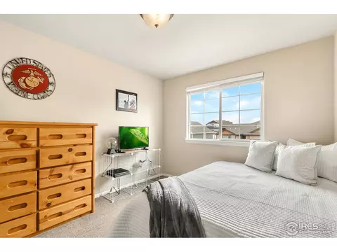 528 El Diente Ave, Windsor, CO 80550 photo 16