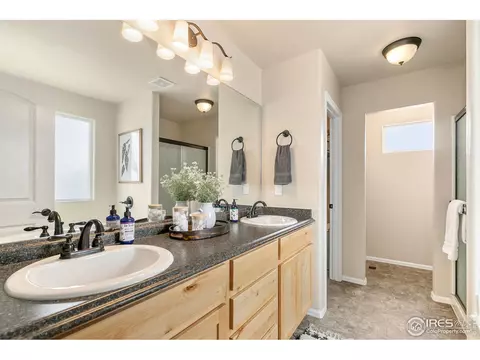 528 El Diente Ave, Windsor, CO 80550 photo 14