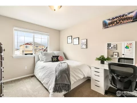 528 El Diente Ave, Windsor, CO 80550 photo 12