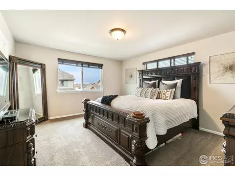 528 El Diente Ave, Windsor, CO 80550 photo 11