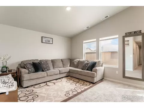 1121 Cottontail Ln, Wiggins, CO 80654 photo 19