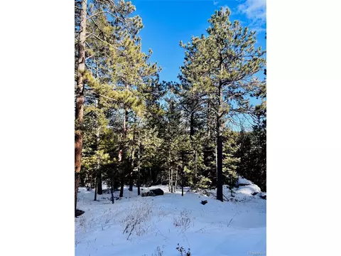 9194 Us Highway 285, Morrison, CO 80465 photo 25