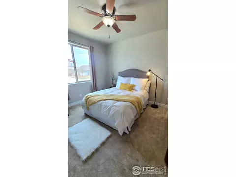 5914 Clarence Dr, Windsor, CO 80550 photo 10