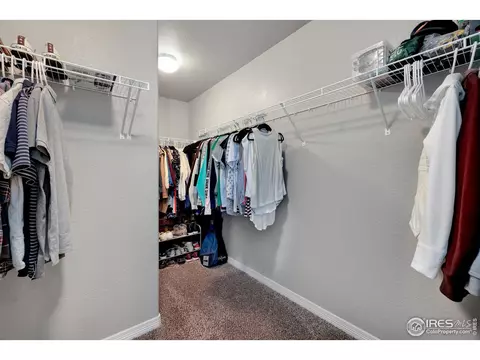 5619 Osbourne Dr, Windsor, CO 80550 photo 18