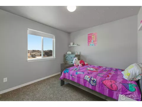 5619 Osbourne Dr, Windsor, CO 80550 photo 20