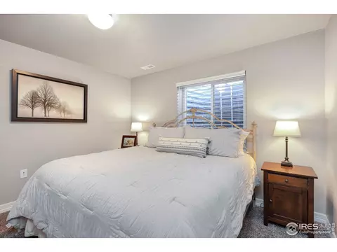 5619 Osbourne Dr, Windsor, CO 80550 photo 28