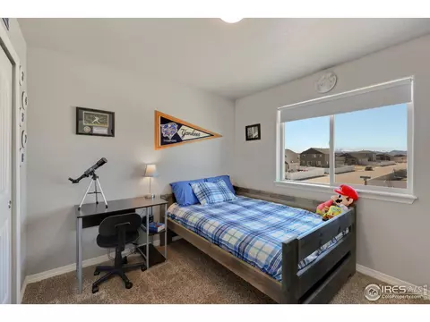 5619 Osbourne Dr, Windsor, CO 80550 photo 21