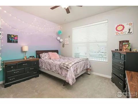 954 Tail Water Dr, Windsor, CO 80550 photo 19