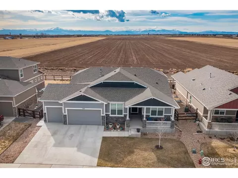 954 Tail Water Dr, Windsor, CO 80550 photo 3