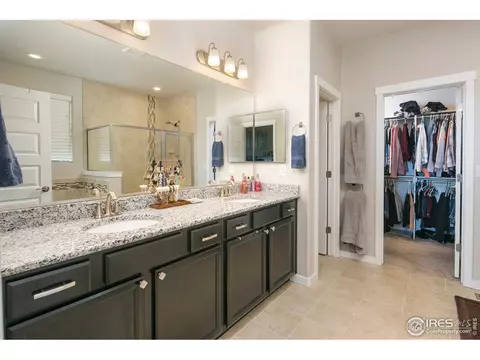 954 Tail Water Dr, Windsor, CO 80550 photo 14