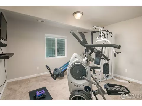 954 Tail Water Dr, Windsor, CO 80550 photo 30