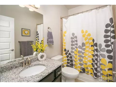 954 Tail Water Dr, Windsor, CO 80550 photo 17