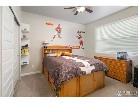 954 Tail Water Dr, Windsor, CO 80550 photo 20