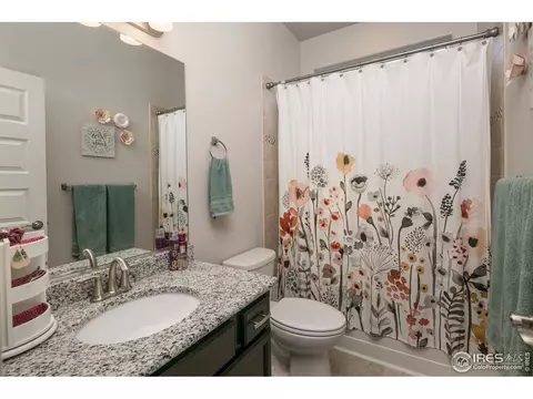 954 Tail Water Dr, Windsor, CO 80550 photo 16