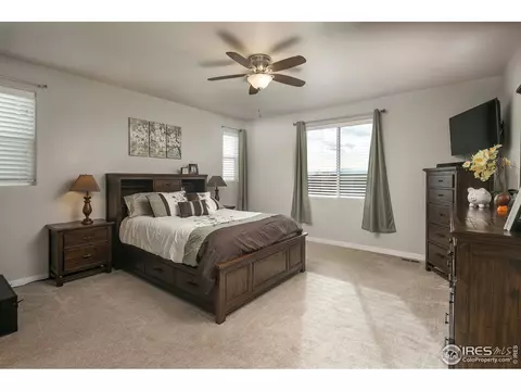 954 Tail Water Dr, Windsor, CO 80550 photo 12