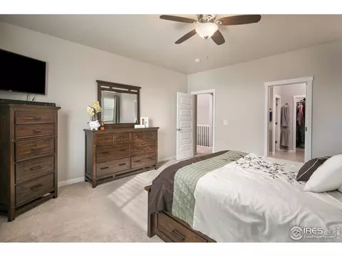 954 Tail Water Dr, Windsor, CO 80550 photo 15