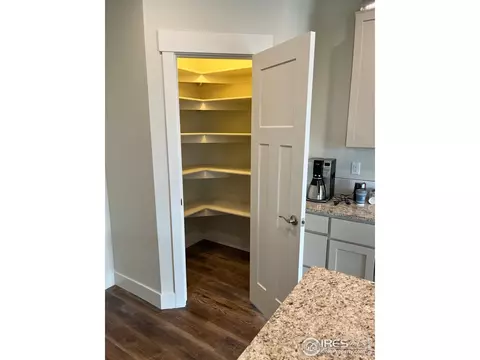 1267 Baker Pass St, Windsor, CO 80550 photo 5