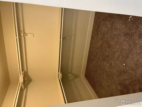1267 Baker Pass St, Windsor, CO 80550 photo 12
