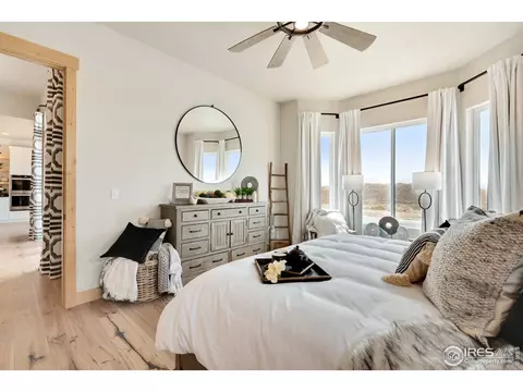 1687 Corby Dr, Windsor, CO 80550 photo 16