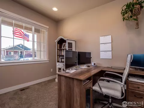 976 Mt Andrew Dr, Windsor, CO 80550 photo 17