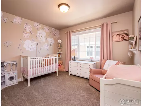 976 Mt Andrew Dr, Windsor, CO 80550 photo 21