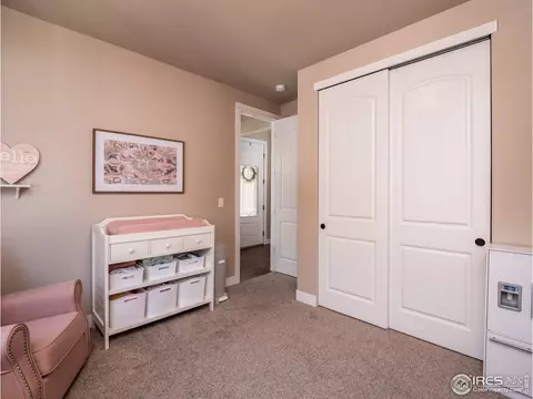 976 Mt Andrew Dr, Windsor, CO 80550 photo 22