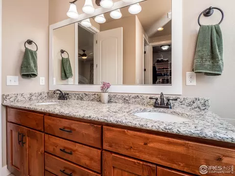 976 Mt Andrew Dr, Windsor, CO 80550 photo 30