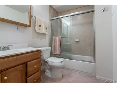 21283 E 48th Dr, Denver, CO 80249 photo 24