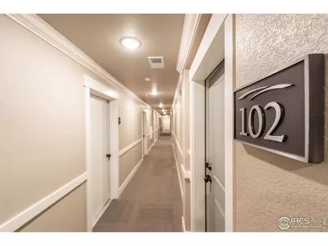 6556 Crystal Downs Dr #102, Windsor, CO 80550 photo 26