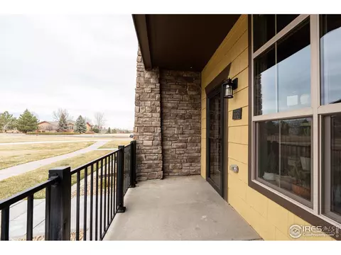 6556 Crystal Downs Dr #102, Windsor, CO 80550 photo 8